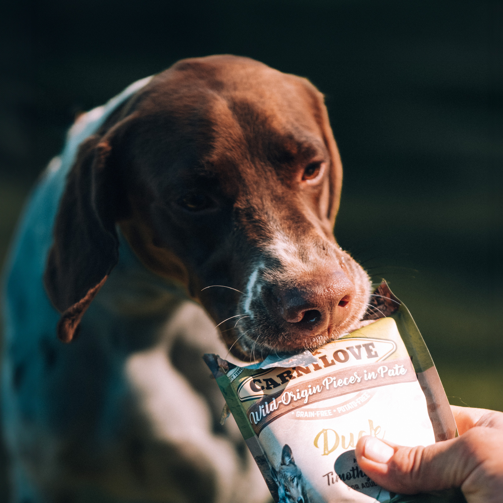 Carnilove markaruoka retkievaana koiralle
