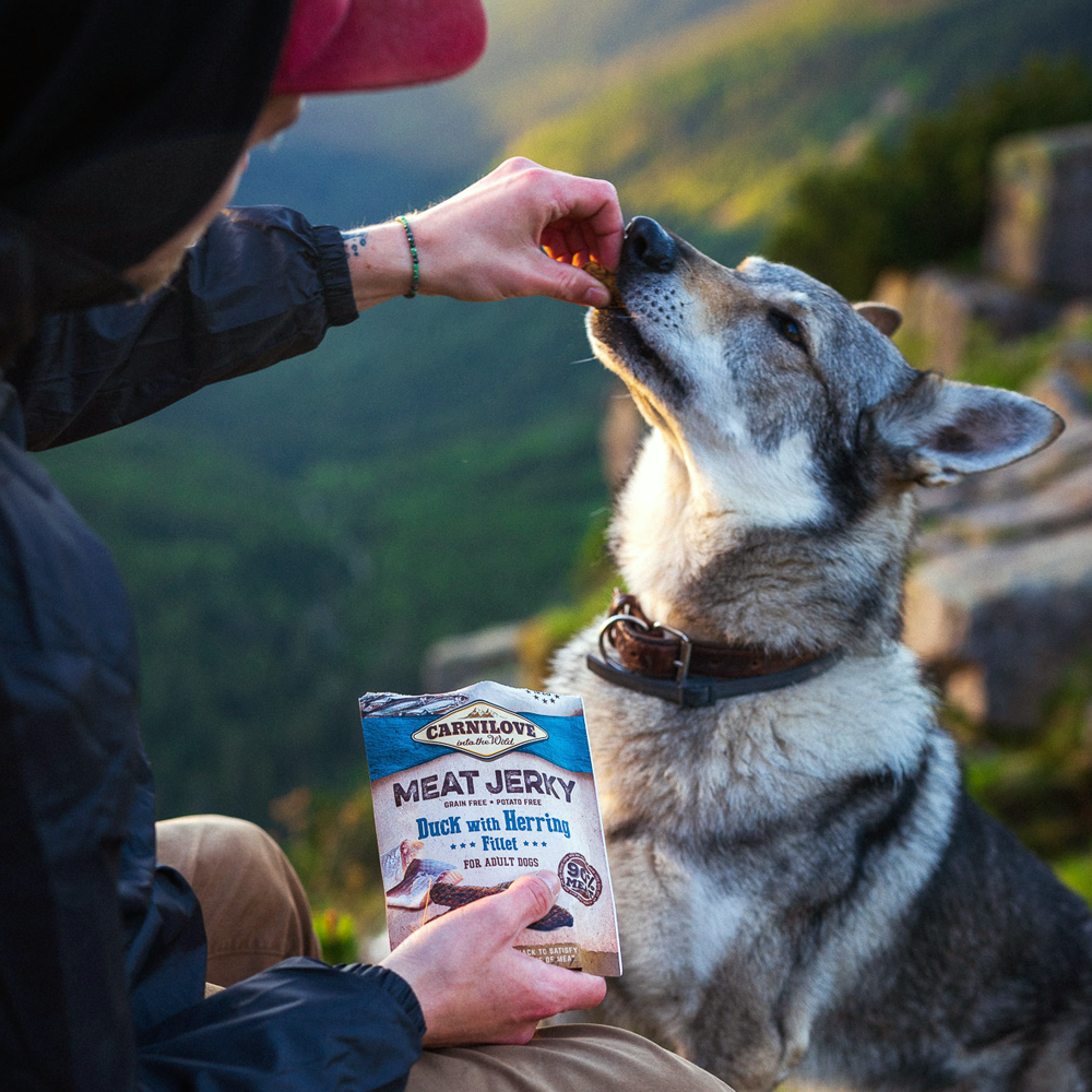 Ankka & silli | Kuivattu koiran herkkuviipale 100 g