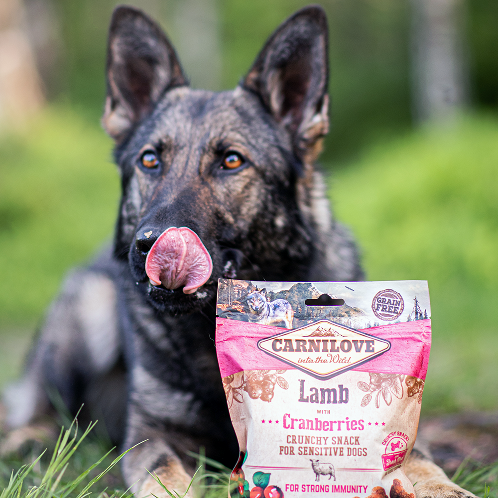 Carnilove koiran herkku lammas