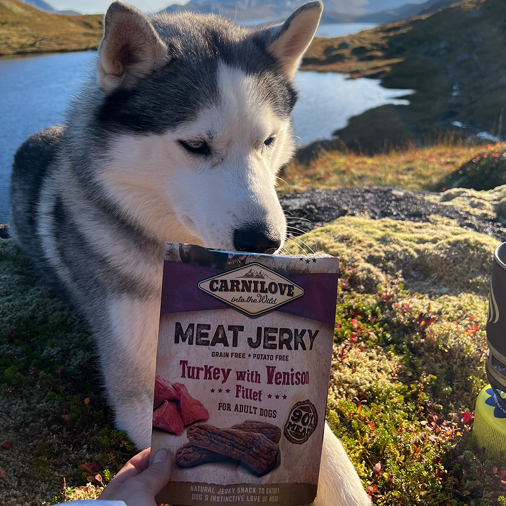 Carnilove koiran herkku riista