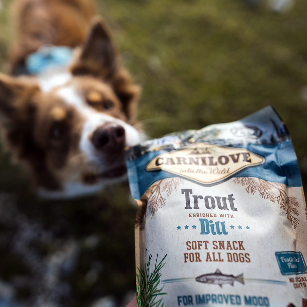 Carnilove koiran herkku taimen