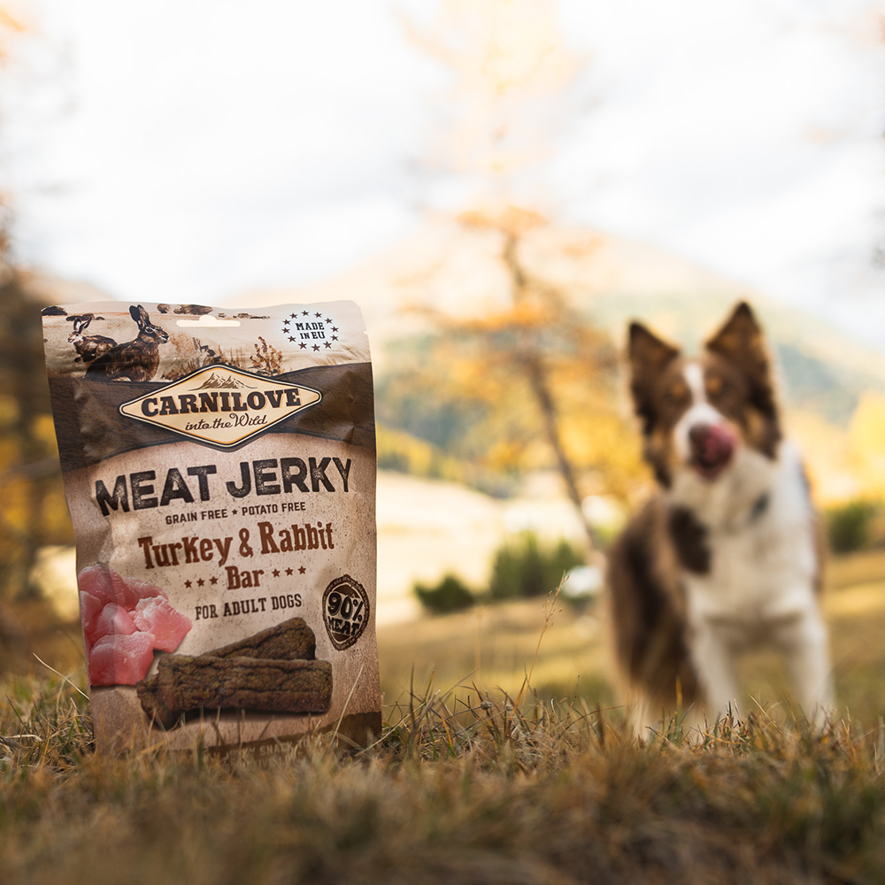 Carnilove koiran herkku