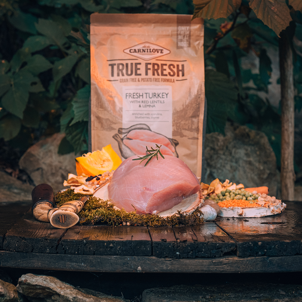 Carnilove True Fresh koiran kuivaruoka kalkkuna