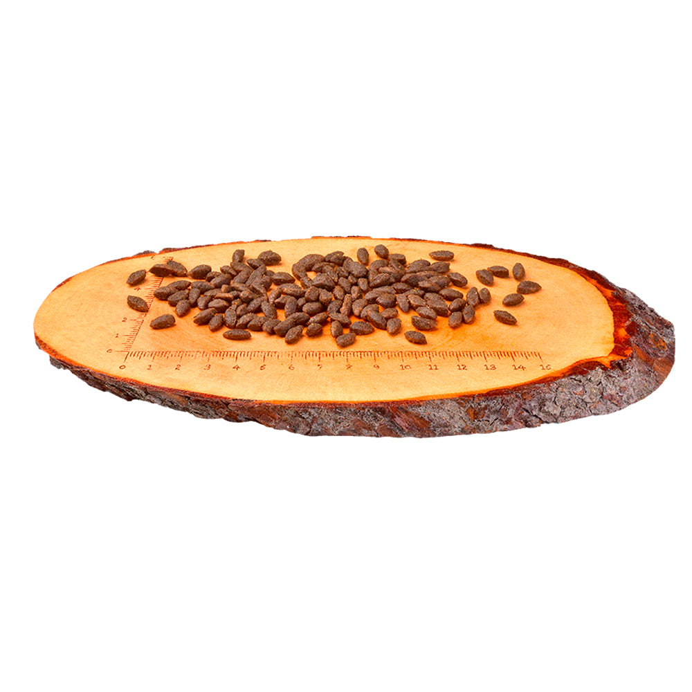Carnilove Lohi | Kissan kuivaruoka 6 kg