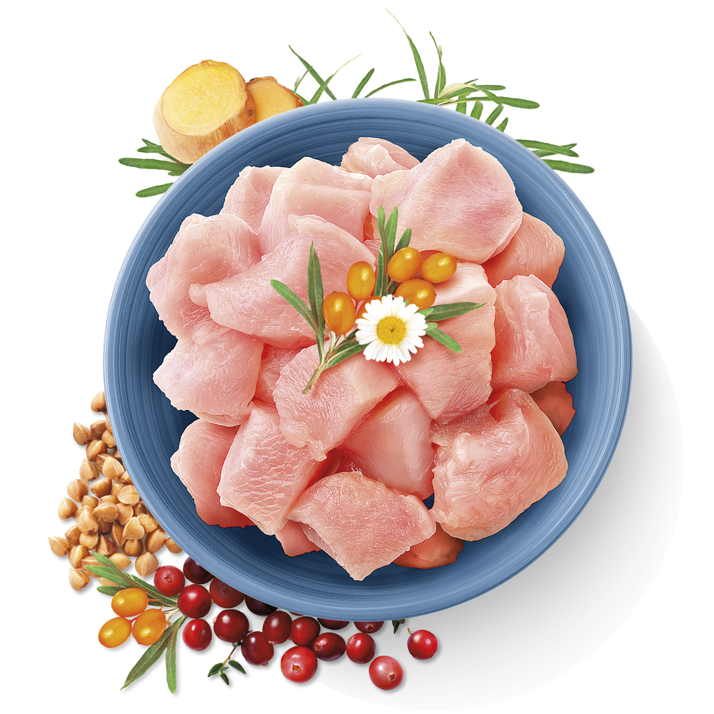 Carnilove | True Fresh | Kissan kuivaruoka