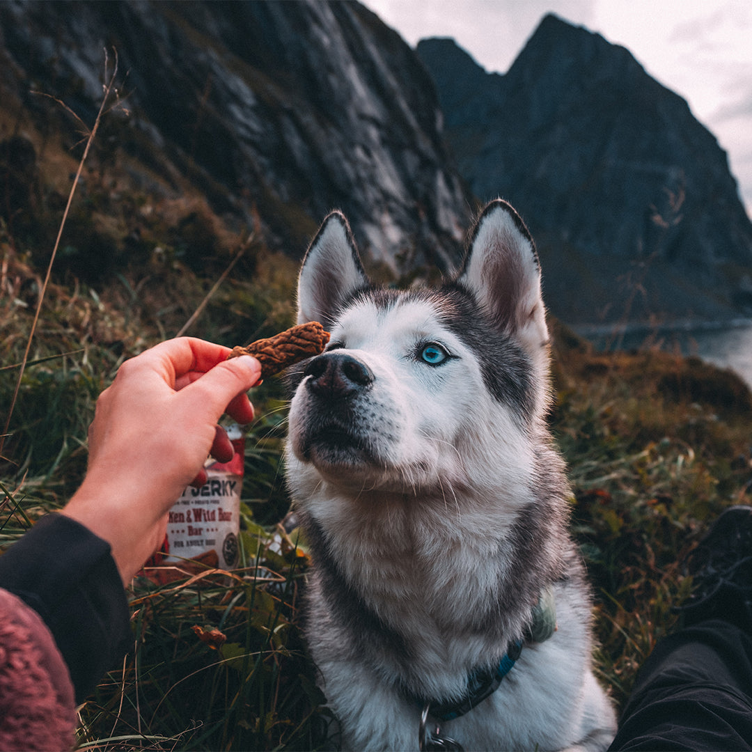 Carnilove meaty jerky koiran herkku