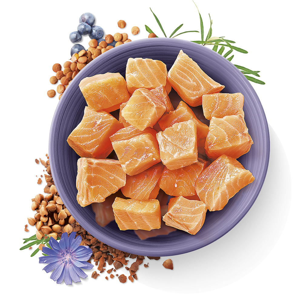 Carnilove | True Fresh | Kissan kuivaruoka kala