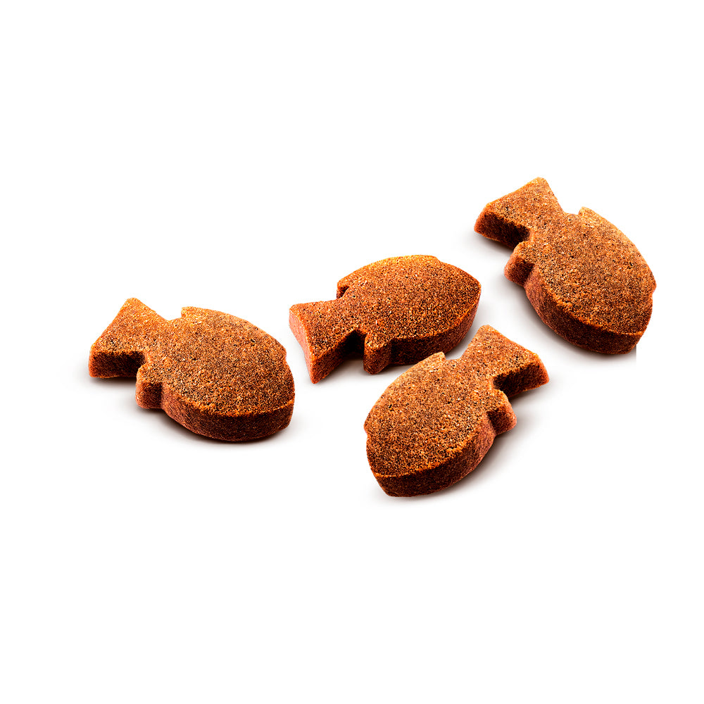 Puolikostea koiran herkku 200 g | Karppi