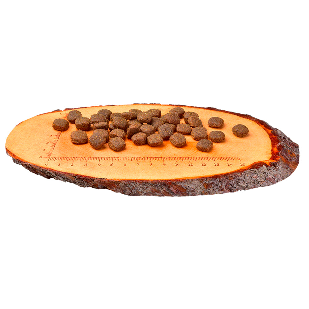 Carnilove Lammas & villisika | Koiran kuivaruoka