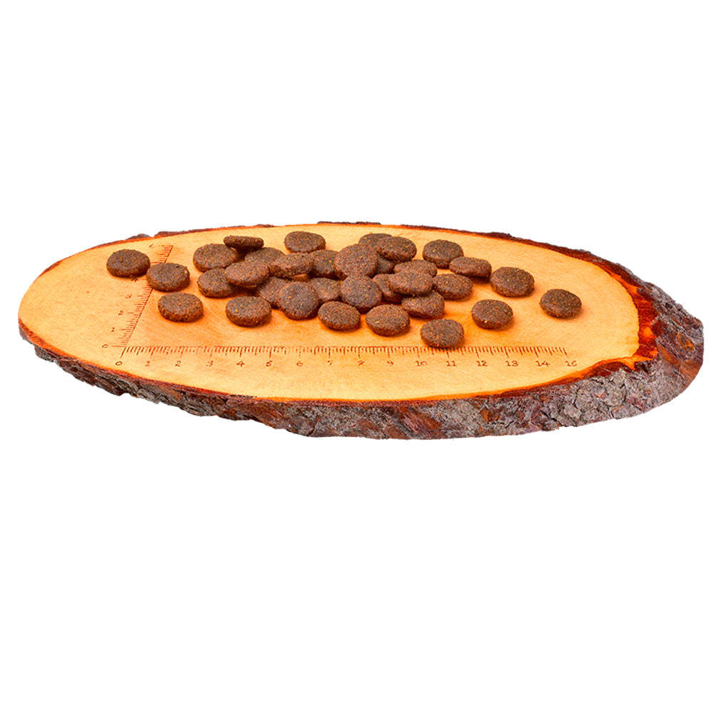 Carnilove Lohi & Kalkkuna | Koiran kuivaruoka koiranpennuille