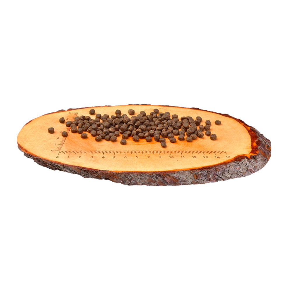 Carnilove Lohi & Kalkkuna | Kissanpennun kuivaruoka